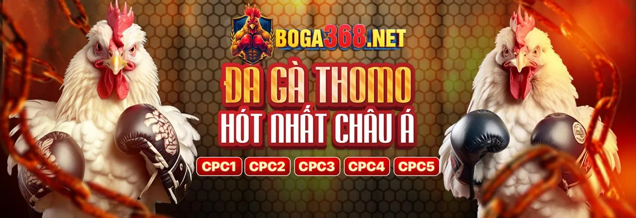 Biểu đồ phân loại các loại cookie được sử dụng