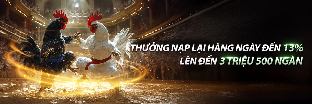 Trải nghiệm sòng bạc trực tiếp chân thực tại tải rg8369
